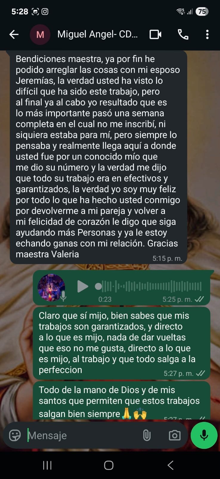 maestra (3)