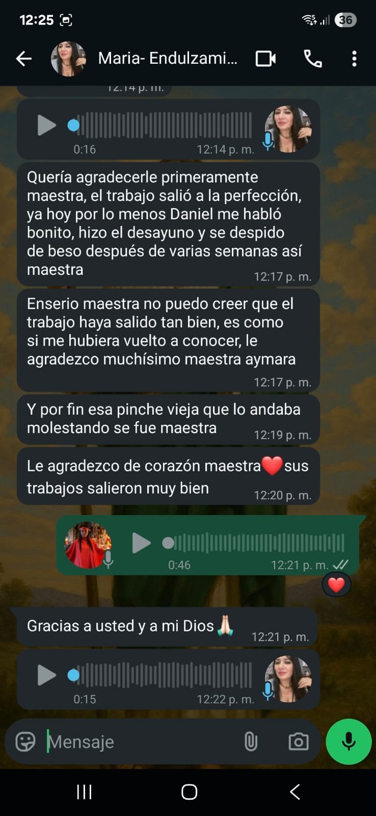 maestra (4)